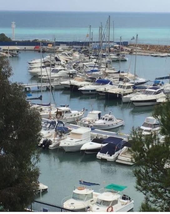 캄포아모르 Playamarina II Cabo Roig 아파트 외부 사진